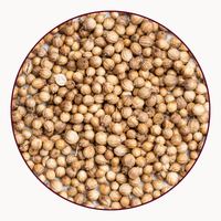CORIANDER